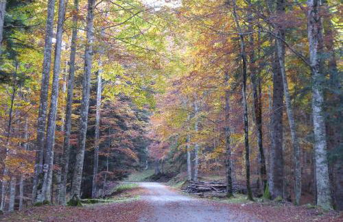 Baita Genzianella - Foto 42