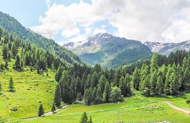 Rosablanche B22 - Foto 13