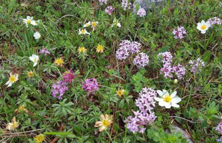 Residence Laitacherhof - Modern Apartments with Sauna - Photo 31