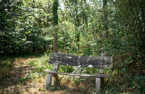 Chateau L' Escale - Photo 14