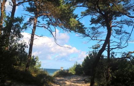 Ferienwohnung Leonie - Foto 12