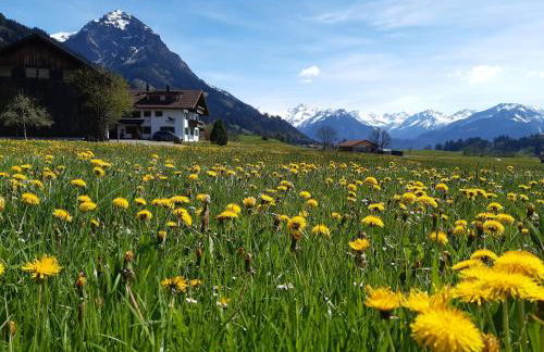 Hemerhof - Ferienwohnungen - Foto 34