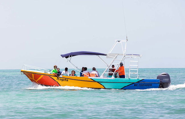 Snorkelling with Whale Sharks in Holbox - Photo 7
