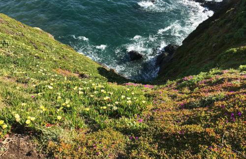 Rocket Cart House - Foto 24