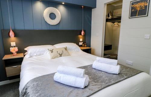 The Gallops - Foto 9