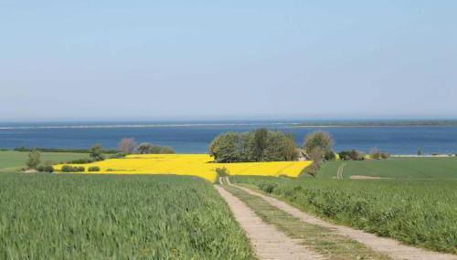 Salzhaff StrandHäuser mit Kamin und Terrasse OFC 17 - Foto 5