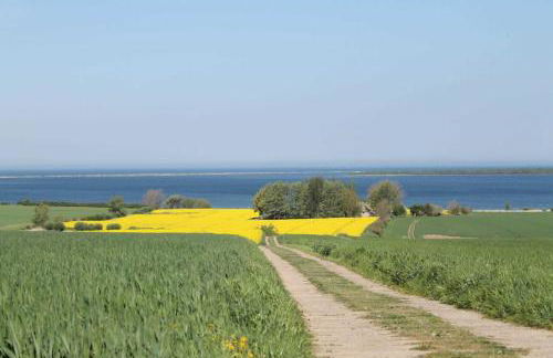 Salzhaff StrandHäuser mit Kamin und Terrasse OFC 17 - Foto 5