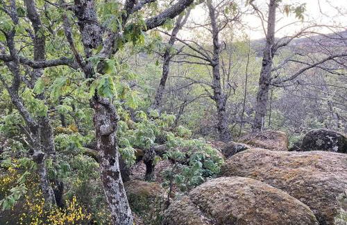 Casa Rural Finca De Musgo - Foto 37