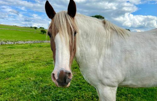 Dover Barn - Foto 19