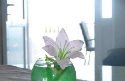 Apartments Pavlić - Photo 70