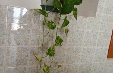 il telaio sardo Bonarcado - Foto 38