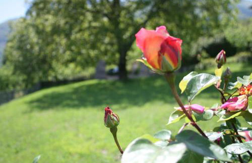 La finestra sul Lago - Foto 18
