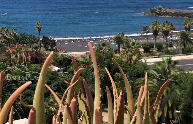 Apartamentos Bahia Playa - Foto 58