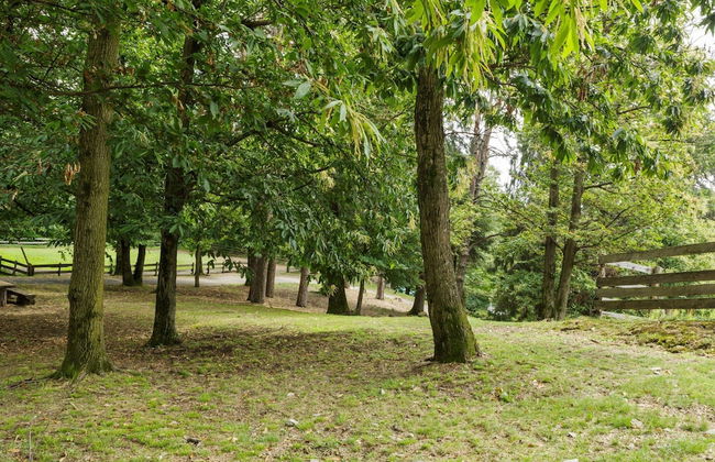 Unique Holiday Experience in Greenery near Lake - Foto 25