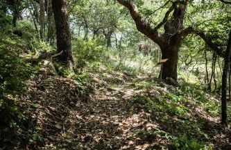 Azienda Agricola Biologica La Cardellina - Foto 53