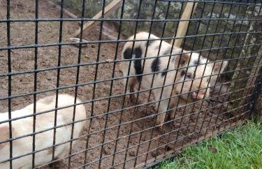 Bienvenue à La Sélinière ! - Foto 22