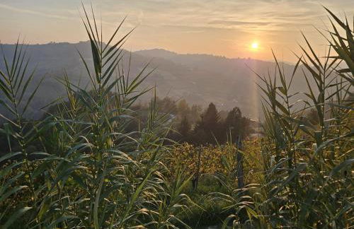 appartement Barbera - Foto 41