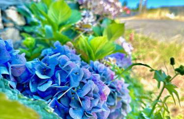 Love, made in xisto - Foto 60