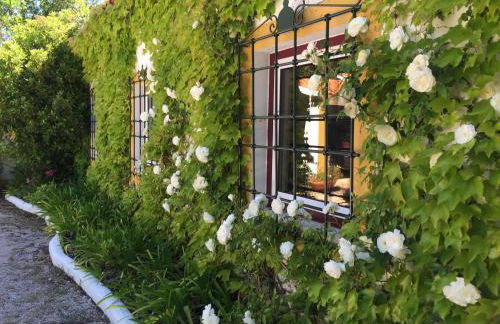 Quinta do Troviscal - Foto 50