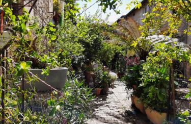 Terra-Crystal - Foto 9