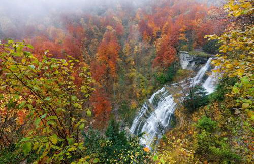 La Maison de la Douce Heure, 4 appartements climatisés avec jardin au centre ville proche des Thermes - Foto 74