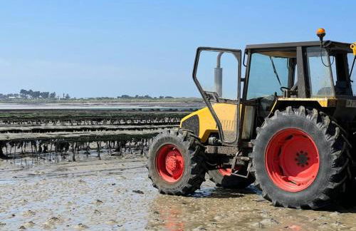 Maison vue mer incroyable 180 degrés , accès direct plage et GR34 - Foto 71