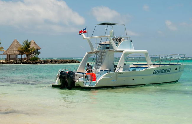 Art & Forest Way Combo 4x4 UND KATAMARAN - Foto 9