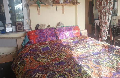 Kyllini am Meer relaxen mit Hund - Foto 8