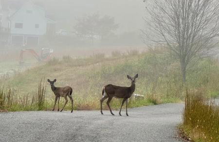 Lux Riverfront Retreat- Hot Tub, Game Room, Views! - Photo 49