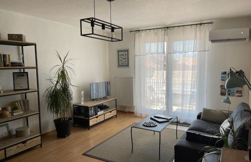 Au pied des Vosges - Foto 1