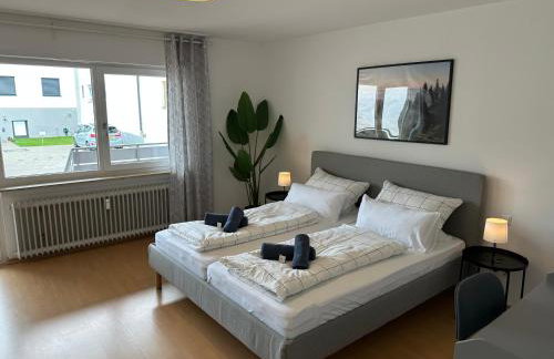 Meerrettichnest Groß - Foto 4