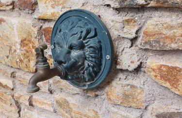 Ruta Del Aguila alojamiento turístico de calidad - Foto 43