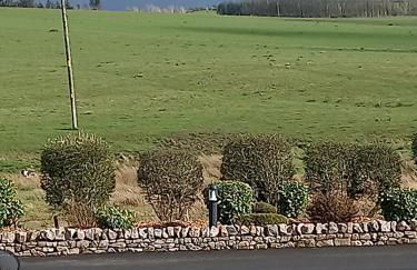 Green Dream - Foto 1