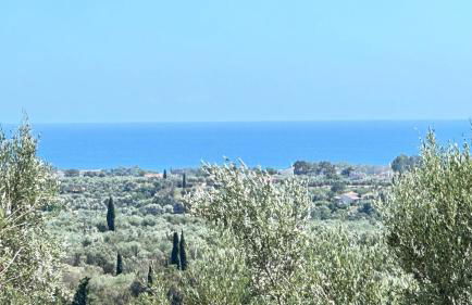 The Secret Garden at Villa Georgia Kalamata - Foto 10