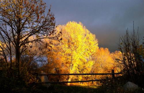 Casa rural cal Rei - Foto 83