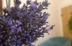 Maison de rue: Auch - Photo 5