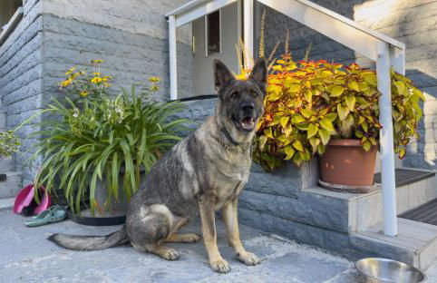 Gästehaus Barthel - Foto 16