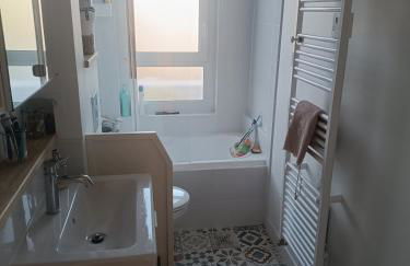 Mancelle 24h - Foto 5