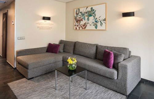 Apartosuites Jardines de Sabatini - Photo 17