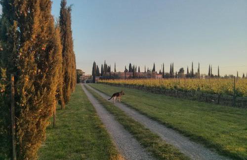 Argiano Dimore Wine Relais - Foto 120