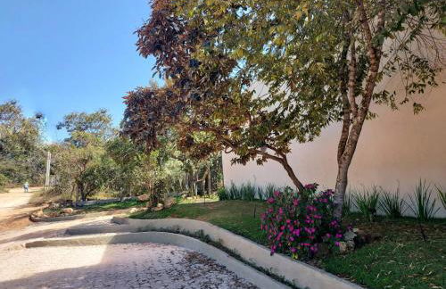 Statera Host - Foto 3