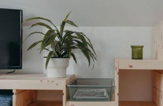 Rose Cottage studio, Newton Ferrers - Foto 7
