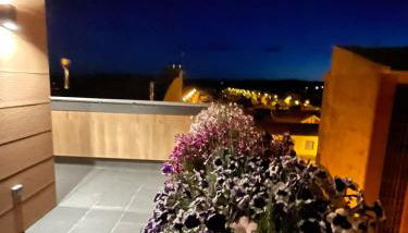 El Roble 9 - Photo 4