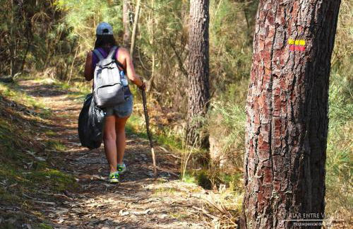 Canto da Planície - Foto 65