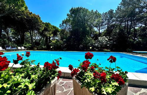 Villa sunshine with pool - Foto 17