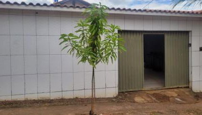 Casa da Sofia - Foto 4