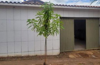 Casa da Sofia - Foto 4