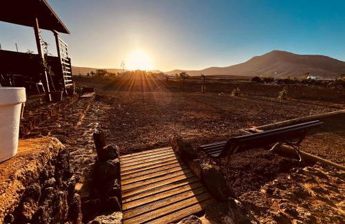 Erbania Heritage, naturally - Foto 21