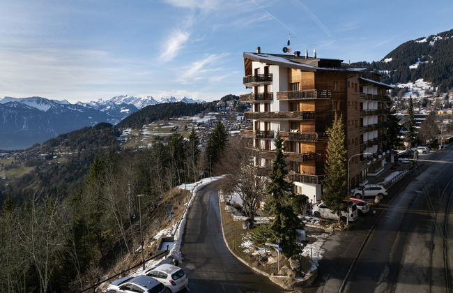 Le Bristol B11 - Foto 23