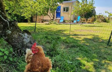 Cornwall Luxury Hot Tub Huts - Foto 5